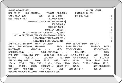 3.13.2 BMF Account Numbers | Internal Revenue Service