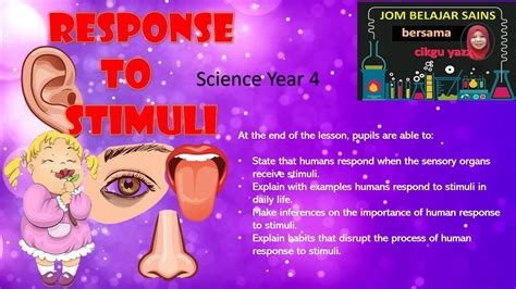 Response to Stimuli Example 的图像结果