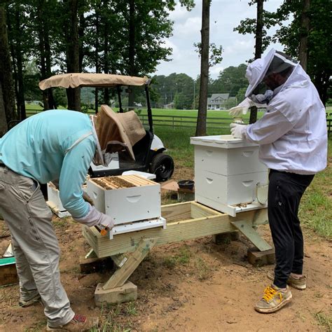 Image result for Bee Feeding Tips