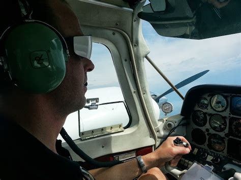 Multi-Engine Training 的图像结果