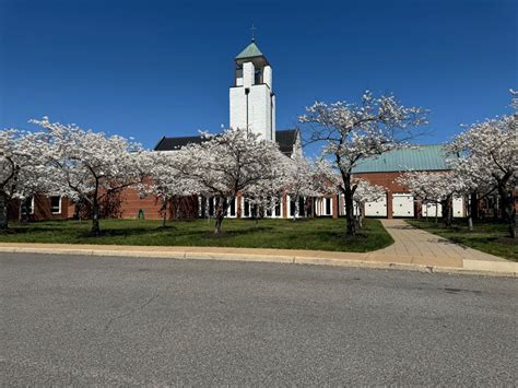 Parish & Mass Finder - Catholic Diocese of Arlington