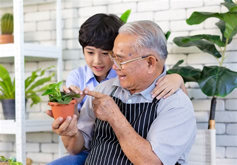 Father's Day | Swenson and Silacci Flowers