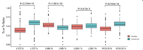 Image result for Design Matrix Engineering Example