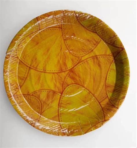 13 Inch Round Disposable Plate at Rs 2.10/piece in Nipani | ID ...