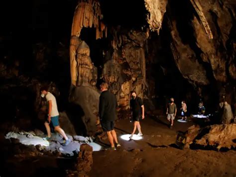 No more unsophisticated - Were Neanderthals the first artists on earth ...