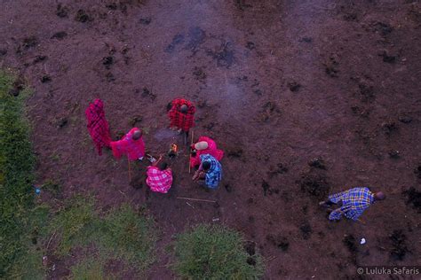 LULUKA SAFARIS (2026) All You Need to Know BEFORE You Go (with Photos ...