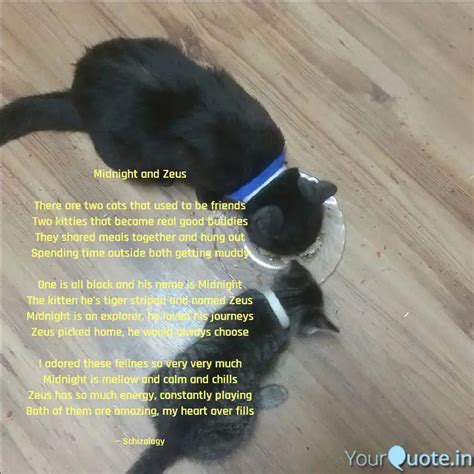 Midnight and Zeus There ... | Quotes & Writings by Charles 1972 | YourQuote