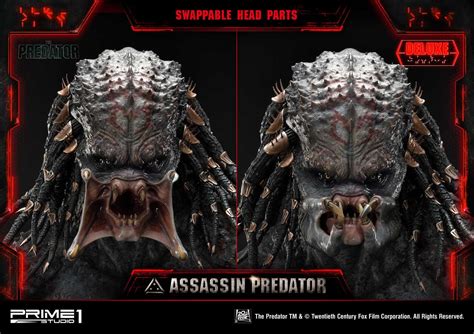 Image result for Assassin Predator