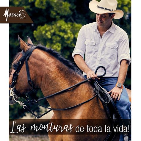 Cómo elegir la silla ideal para montar a caballo