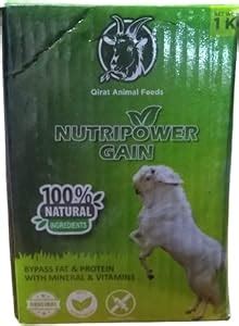 P&S Feed Nutri Powder Supplement Improves Healthy Gain Weight Mixture ...