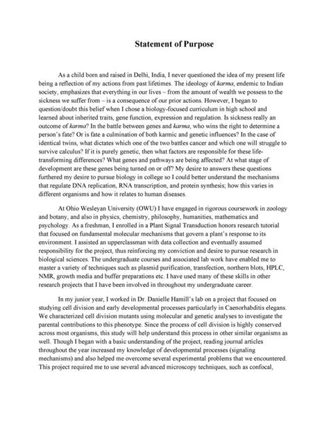 Statement of Purpose Example 的图像结果