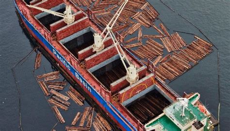 Image result for Cool View