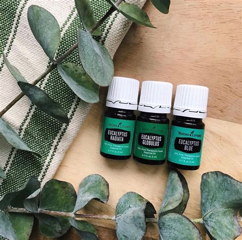 Inhalation 的图像结果