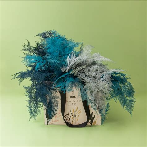 Chaos – Flower Lab In