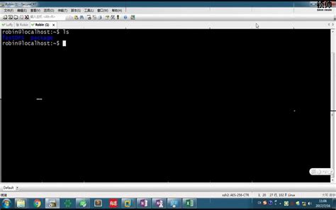 Linux C Program 的图像结果