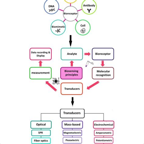 Image result for How Does a Biosensor Work