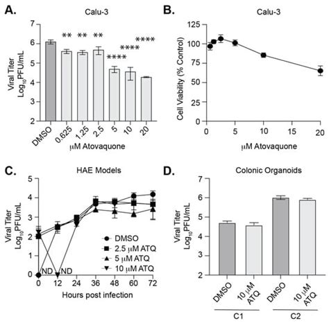 Atovaquone and Berberine Chloride Reduce SARS-CoV-2 Replication In Vitro