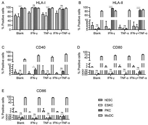 Low Immunogenicity of Keratinocytes Derived from Human Embryonic Stem Cells