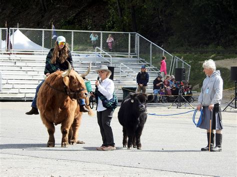 New Hampshire Highland Games and Festival 2022 – Mark Moeller's Blog