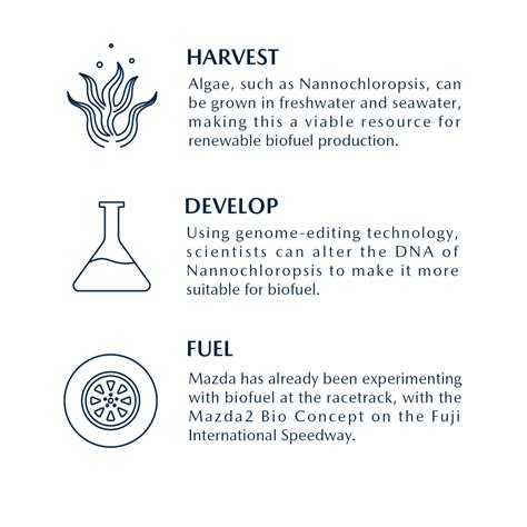 Next-Gen Biofuel: High School Students Explore Mazda and Hiroshima ...
