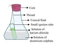 Atoms and Molecules Class 9 Notes Science Chapter 3 Free PDF