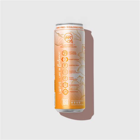 Orange Lotus Plant Power Drink™ (zero sugar) – Lotus Energy