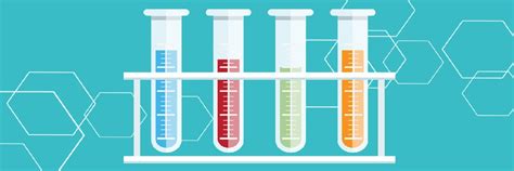 SRI VINAYAKA LABS - PUTTUR