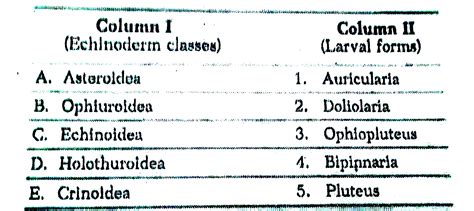 Match the following Columns.