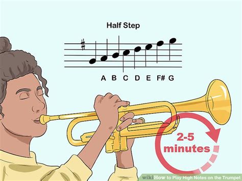 Do Trumpet Play High Notes at Tawana Tibbs blog