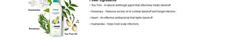 Buy Himalaya Hair Oil Anti Dandruff 100 Ml Online At Best Price of Rs ...