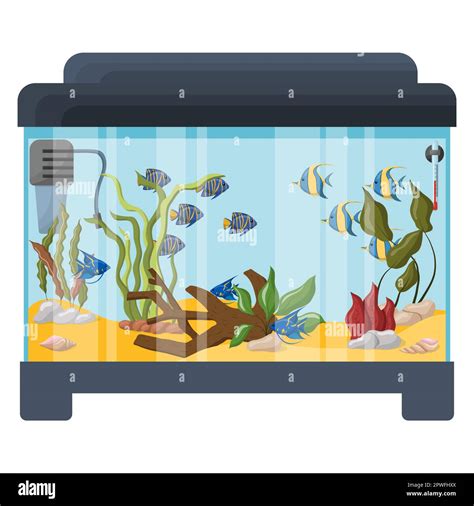 Rectangular aquarium with fish and algae. Vector illustration isolated ...