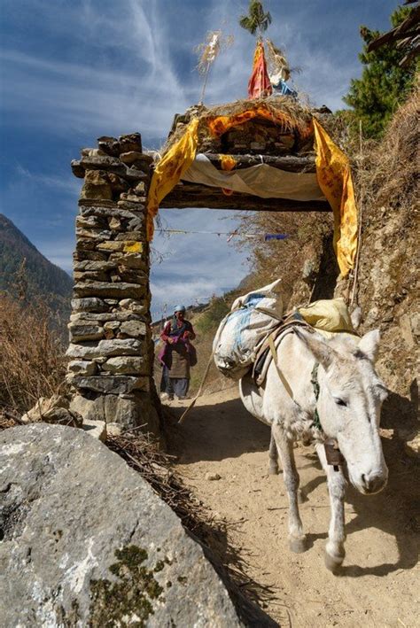 Travel Adventure Photography 的图像结果