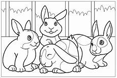 felix hase malvorlagen malvorlage hase felix felix hase malvorlagen malvorlage hase felix