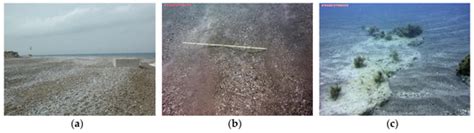 Long-Term Shoreline Displacements and Coastal Morphodynamic Pattern of ...