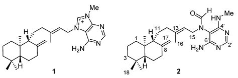 Therapeutic Potential of (−)-Agelamide D, a Diterpene Alkaloid from the ...