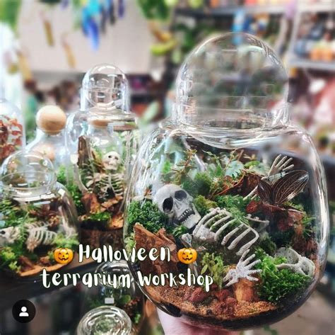 Halloween themed Terrarium Workshop, The Green Emporium, Orange Grove ...