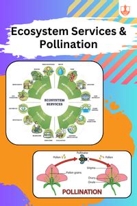 Klassroom Learn - The Education OTT