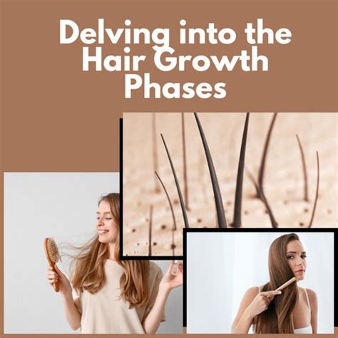 Nurturing Your Locks: Mastering the Hair Growth Cycle | Clinikally