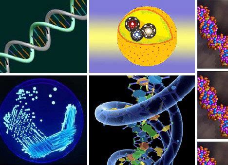 Nanotechnology Real Life Examples 的图像结果