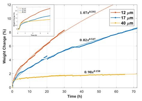 The Microstructure Formation of a Protective Oxide-Scale Layer on Small ...
