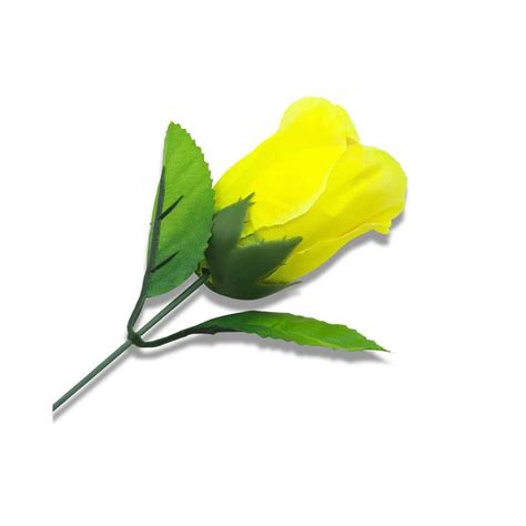 Buy SUMAG Discoloration Roses (Red Change Yellow) Rose Magic Tricks ...