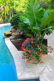 Amazing Tropical Home Landscape Pictures by 20 Amazing Pool Landscaping Design Ideas 2019 21 In 2020 Amazing Tropical Home Landscape Pictures