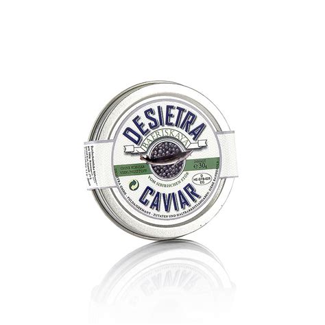 Kaviar Desietra Baeriskaya (baerii), budidaya perikanan, tanpa bahan ...