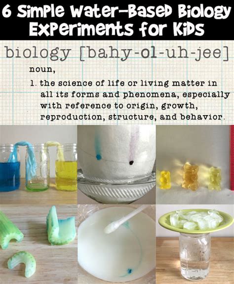 Image result for Practical Biology Experiments