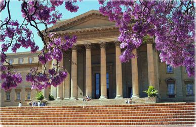 Sportsfield Durbanville South Africa 的图像结果