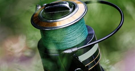 Fishing Line Types 的图像结果