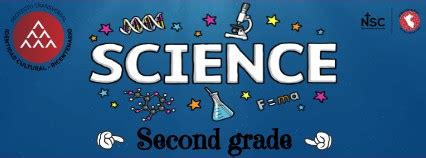 Image result for Science Lesson 12