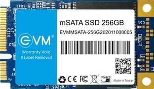 EVM MSATA 256 GB All in One PC's, Desktop, Laptop Blue mSATA Internal ...