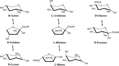L-Arabinose Binding, Isomerization, and Epimerization by D-Xylose Isomerase: X-Ray/Neutron ...