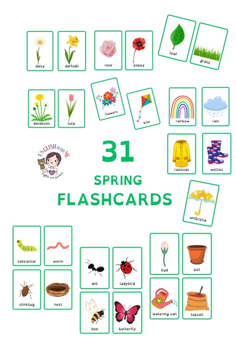 Spring FlashCards 的图像结果